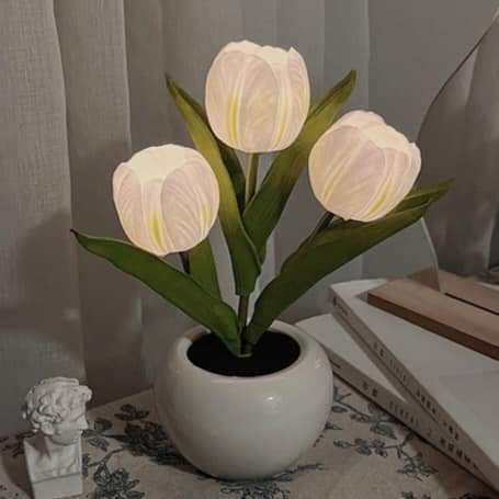 prettiestavenue's tweet photo. tulip night lamps https://t.co/69ABxKJuBG