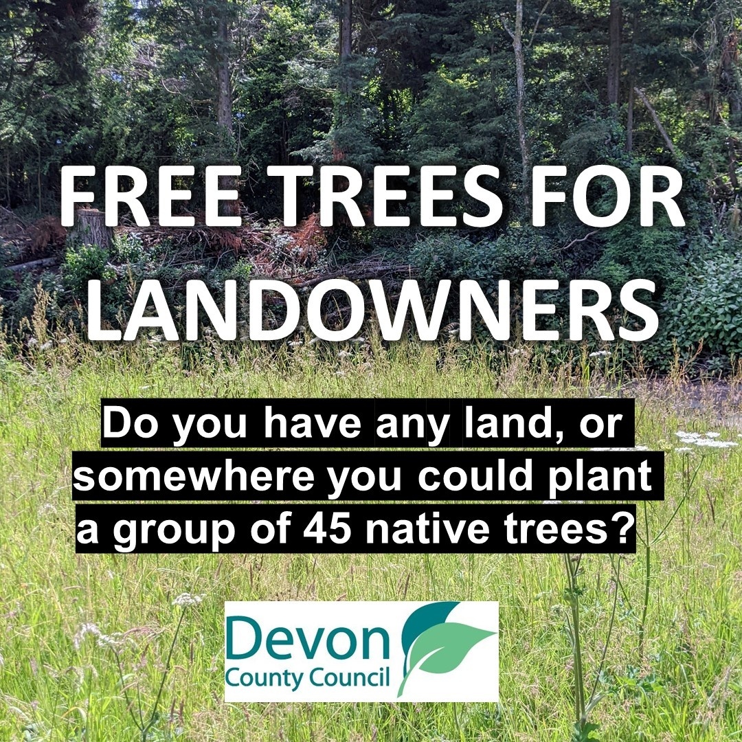 devonclimate's tweet photo. There's still time for you to apply for the #DevonFreeTreeScheme!
@DevonCC will be offering out 100 free tree packs thanks to a generous grant from @WoodlandTrust through its Emergency Tree Fund:
https://t.co/FLUnmht8E3
Applications close Tuesday 27th September. https://t.co/38vIKwrYZM