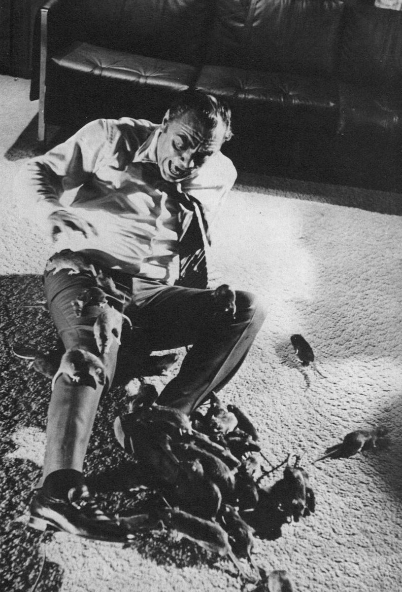 shiigeeboo's tweet photo. WILLARD (1971)
#DanielMann
#StephenGilbert https://t.co/qaH7SqcsVy