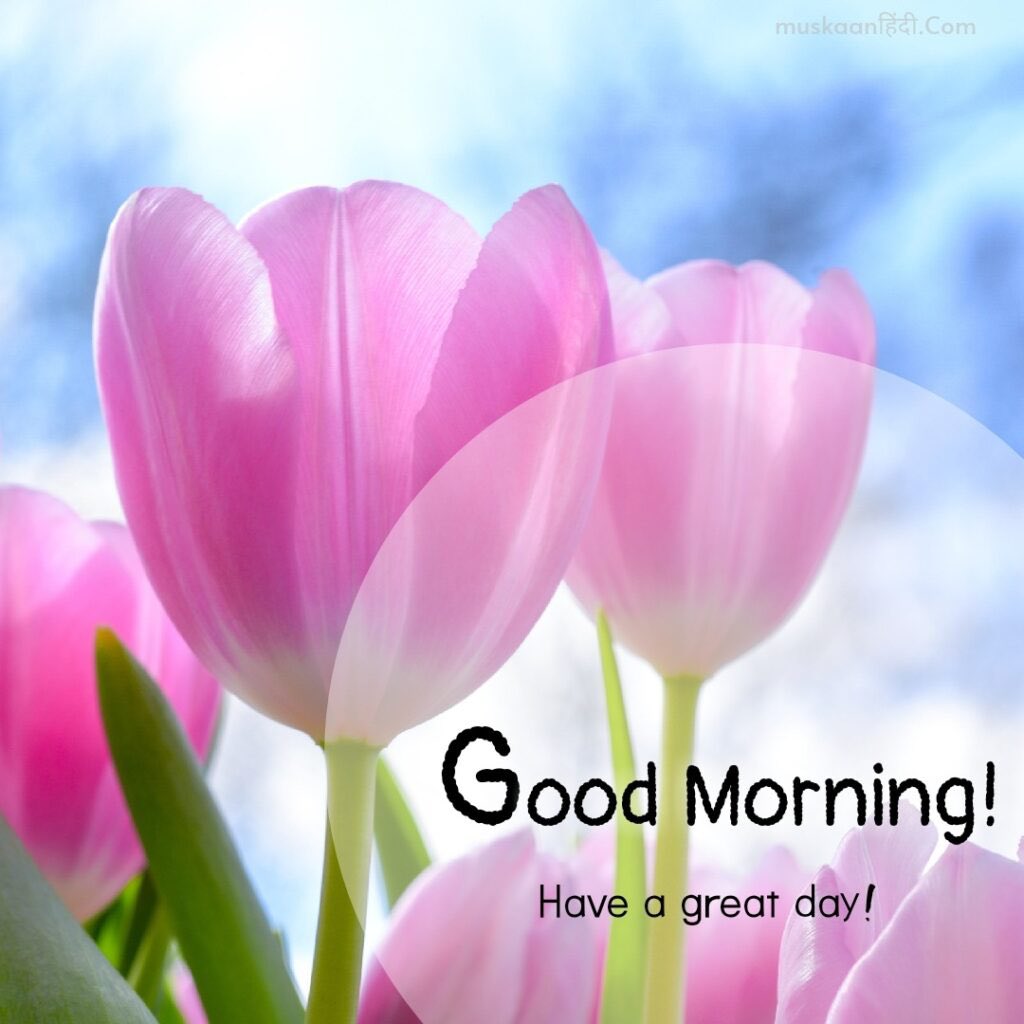 MiracleSDiva19's tweet photo. G'Morn'n Queens 💞 &amp; Kings 💙....Happy Twosday 😀. I know I'm a handful but that's what you got two hands for..I'm in my bed, you're in your bed 🤷🏽‍♀️ someone's in the wrong place!  #LetsMisbehave #LaughterIsSoGoodForTheSoul
#EnjoyYourDayYall #IKnowItsTooEarly https://t.co/7rrzo79Mrh
