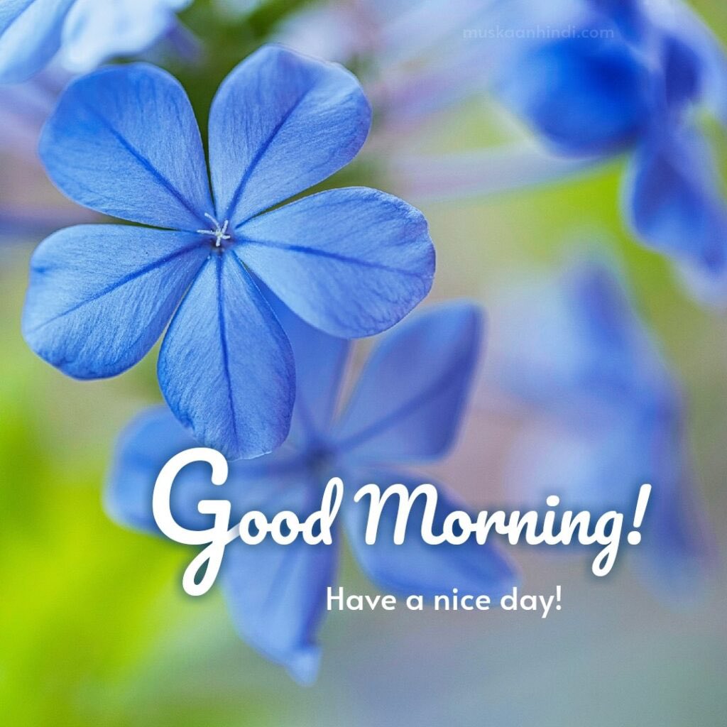 MiracleSDiva19's tweet photo. G'Morn'n Queens 💞 &amp; Kings 💙....Happy Twosday 😀. I know I'm a handful but that's what you got two hands for..I'm in my bed, you're in your bed 🤷🏽‍♀️ someone's in the wrong place!  #LetsMisbehave #LaughterIsSoGoodForTheSoul
#EnjoyYourDayYall #IKnowItsTooEarly https://t.co/7rrzo79Mrh
