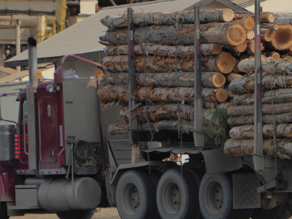TeamPFPI's tweet photo. The tide is turning on burning trees and other #forest #biomass for renewable energy. https://t.co/ZNLyO1xhmK https://t.co/0YUADII1r8