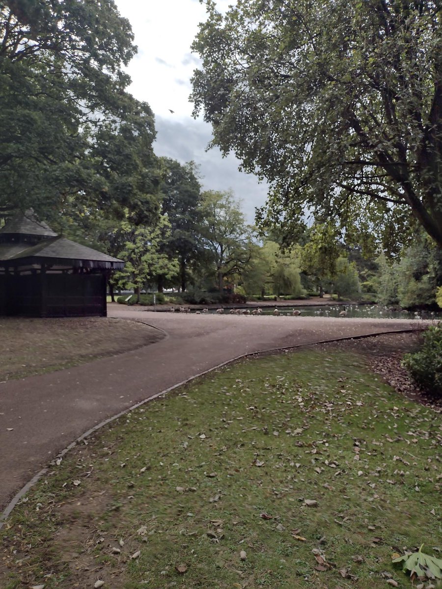 RecoveryColleg3's tweet photo. These are some photo's from our facilitator Jon on the Wolverhampton Walk last week. 🌳☀️

For more information on our health walks visit: https://t.co/nN1X2XeXYw 
☎️ 0121 543 4061
📧 info@therecoverycollege.co.uk
#therecoverycollege #wolverhampton #mentalhealth #healthwalks https://t.co/QKEydNY4Qn