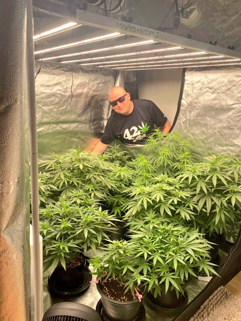 grow_thailand's tweet photo. Tending to my plants in the 5x5 indoor tent. 💚🇹🇭
#growyourown #cannabis #CannabisCommunity https://t.co/QS5BAhsB8W