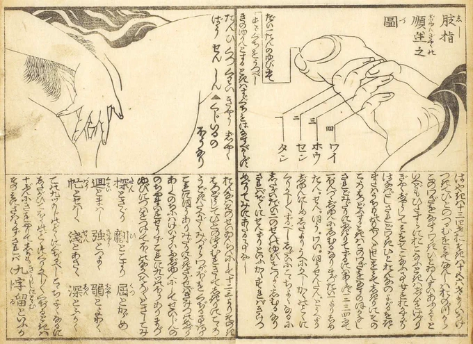 江戸期に出版された『陰陽淫蕩の巻』は交合の体位や様々な秘具秘薬の作り方が書かれた性のハウツー本。

下の図には、男女別のマスターベーションの行い方が丁寧に説明されている。
それによると、人は年頃になると色気付き、他人の交合を見て、自分もしてみたいという感情になり自分で性器を(続く) 