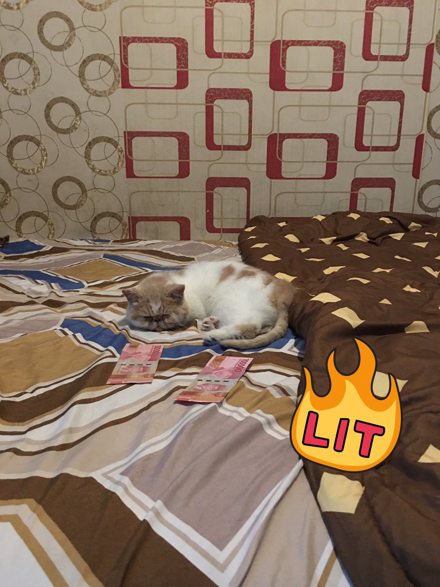 VennyIf's tweet photo. Definisi turu anteng https://t.co/vZgkg0cvDJ