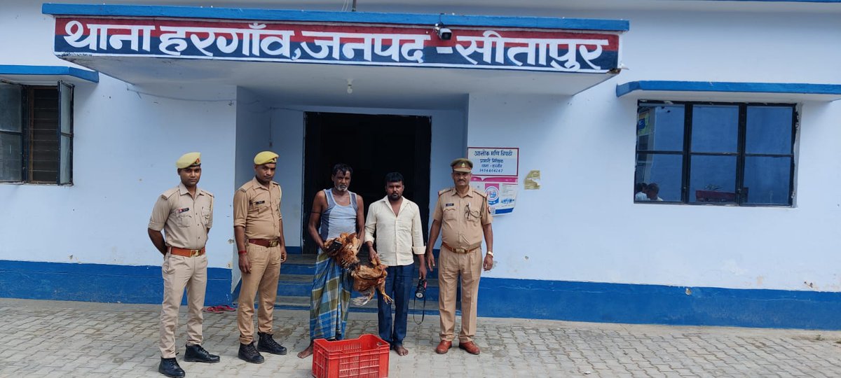 hrg4247's tweet photo. थाना हरगांव पुलिस के द्वारा चोर गिरोह(मुर्गी चोर गिरोह) को धर दबोचा गया । जिनके द्वारा कई अन्य चोरी करना भी बताया गया । https://t.co/qzLozR7qWG
