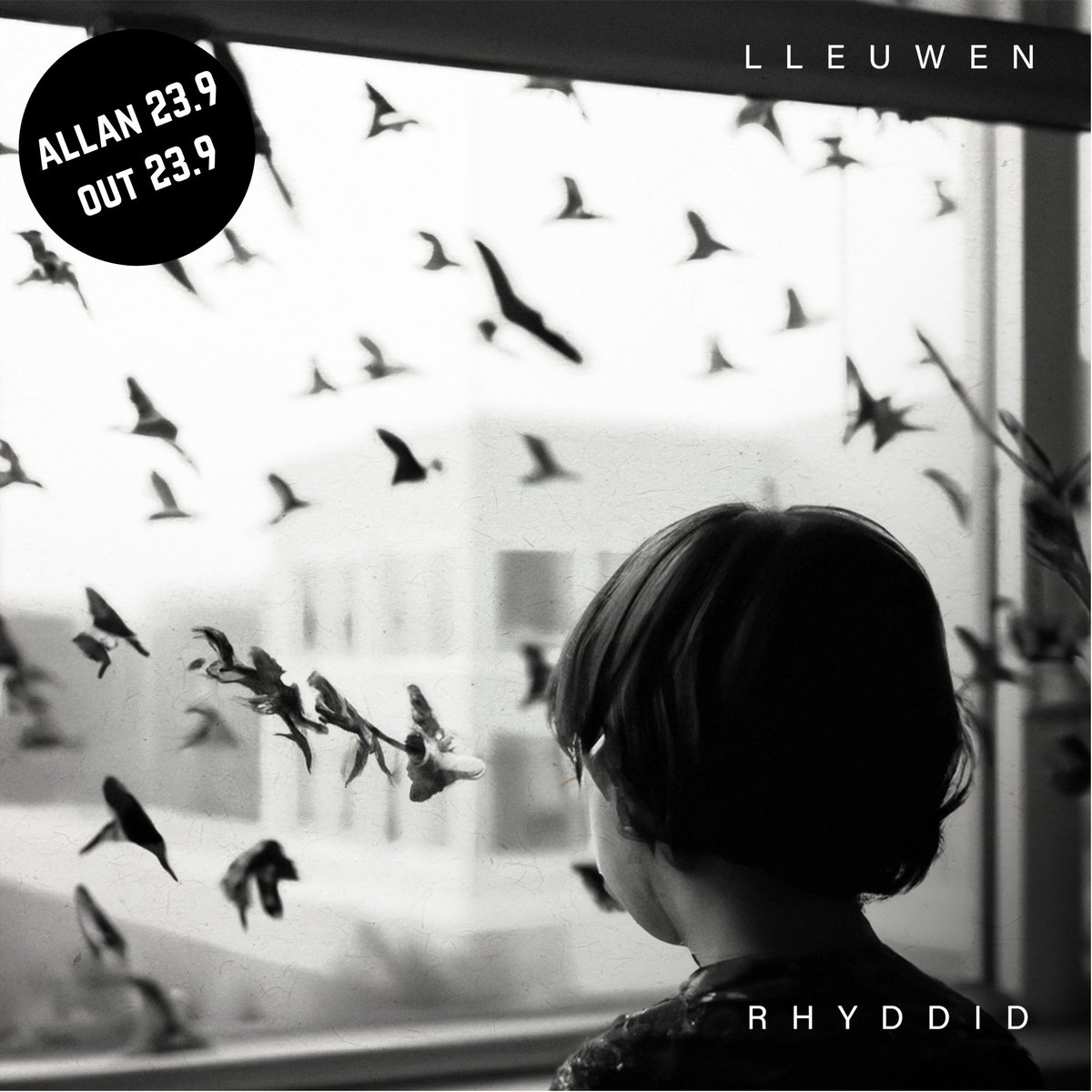 📢🚨SENGL NEWYDD // NEW SINGLE🚨📢

💿'Rhyddid'
👩‍🎨<a href="/Lleuwen/">Lleuwen</a> 
🏷️ Lapous
📅 23.9

💾 orcd.co/rhyddidlleuwen  👈👈👈