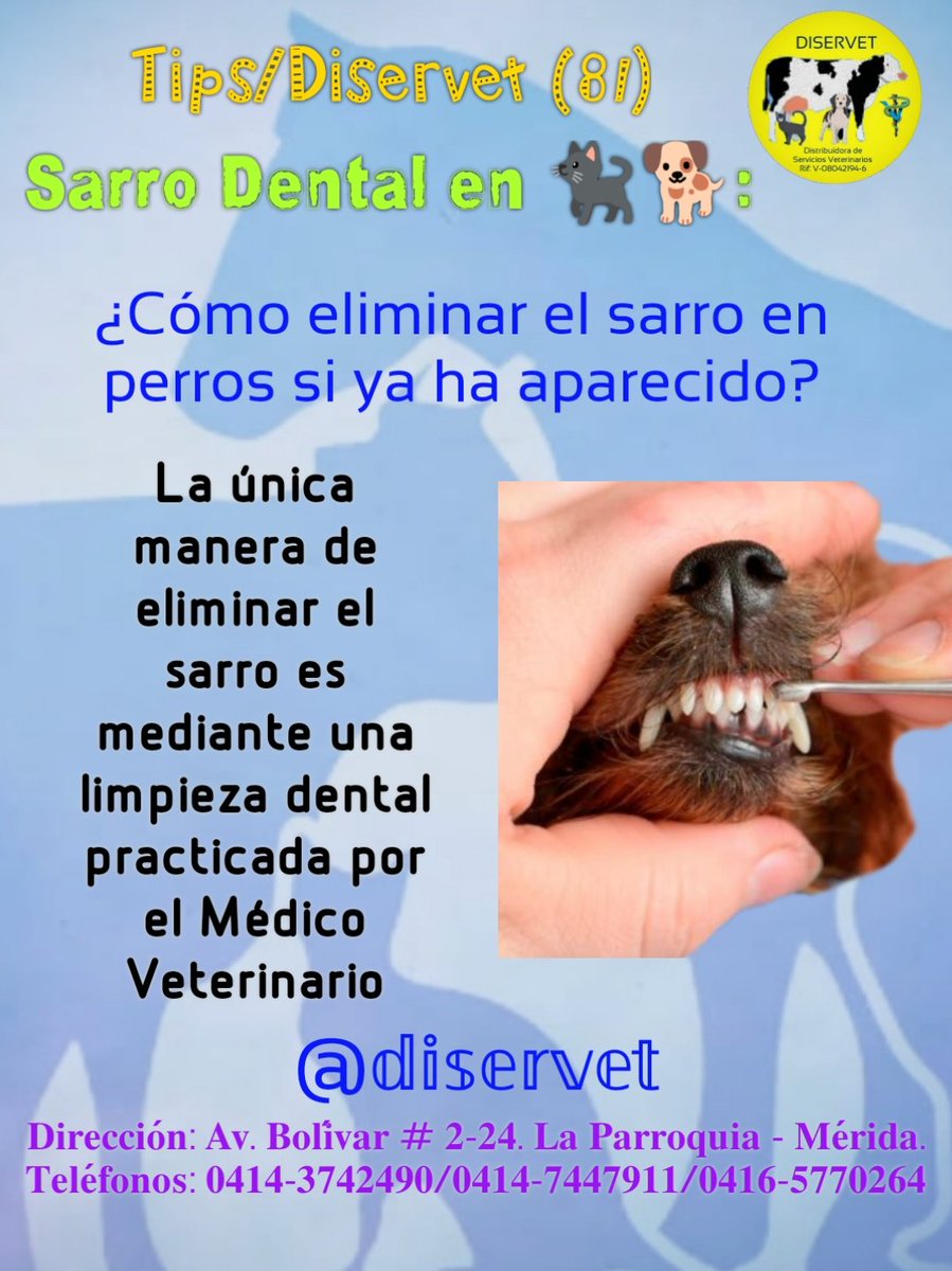 diservet01's tweet photo. 3️⃣@diservet #TipsDiservet #sarro #placabacteriana
#consultaveterinaria @mvreinaldorivas https://t.co/CwLicsjVo7