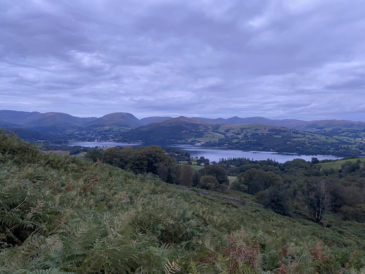 36clare's tweet photo. Quick walk round Latterbarrow after work last night #daysaregettingshorter #darknightsarecoming #latterbarrow #lakedistrict https://t.co/8ebeDf67H5