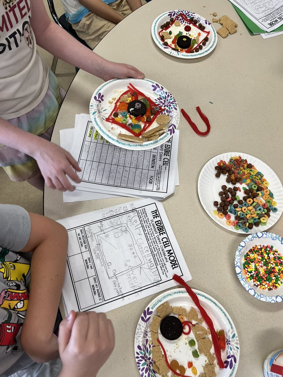 Gpyfer2's tweet photo. What better way to show your knowledge of a plant cell than to make one with food. #hillsidepride #westshoreproud https://t.co/bk6uX1XV1j