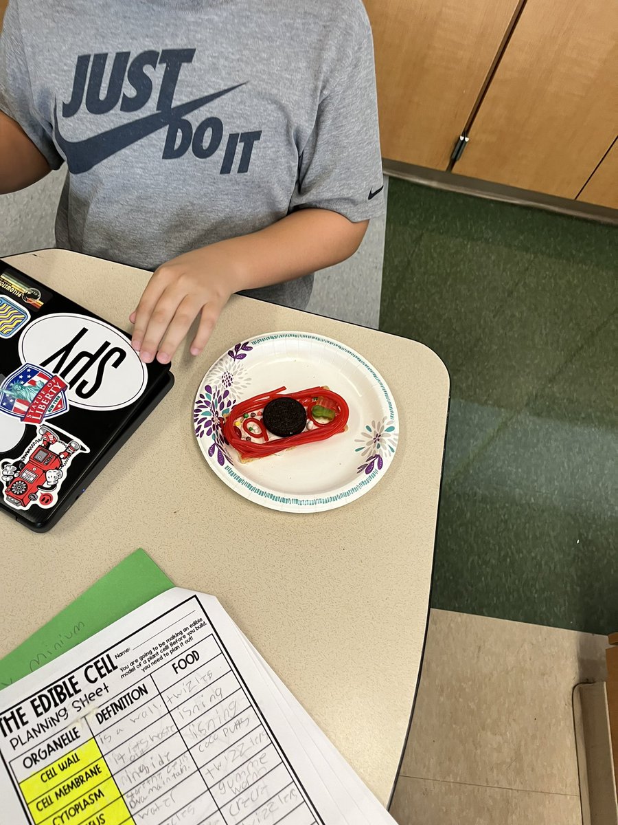 Gpyfer2's tweet photo. What better way to show your knowledge of a plant cell than to make one with food. #hillsidepride #westshoreproud https://t.co/bk6uX1XV1j