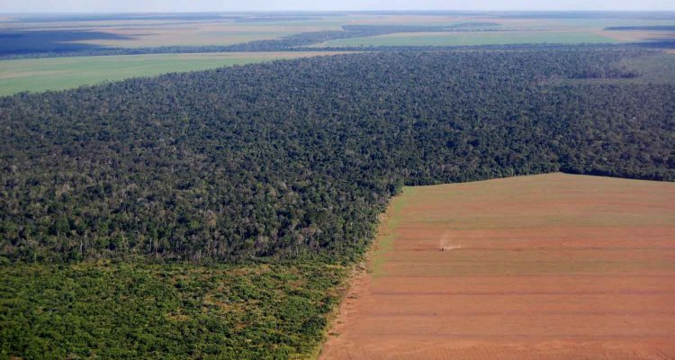 WUR Environmental tweet media