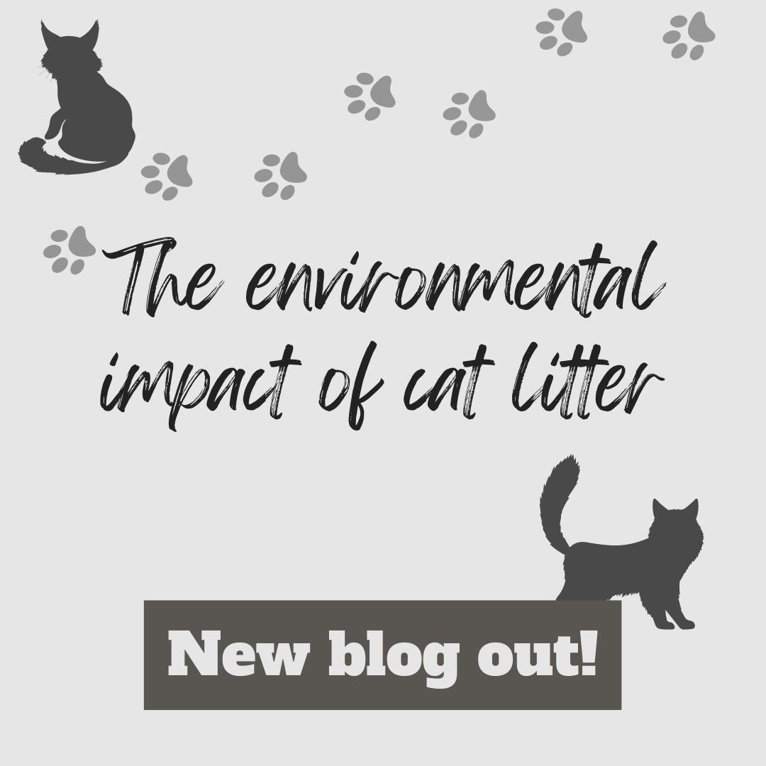 ClimatePets's tweet photo. Across the world, many of us are accustomed to use cat litter: after all, our little tigers have to do their business somewhere 💩 But what is the environmental impact of cat litter for the environment? And what should we do about it?

Learn more and read our latest blog post https://t.co/mp40x5p9ta