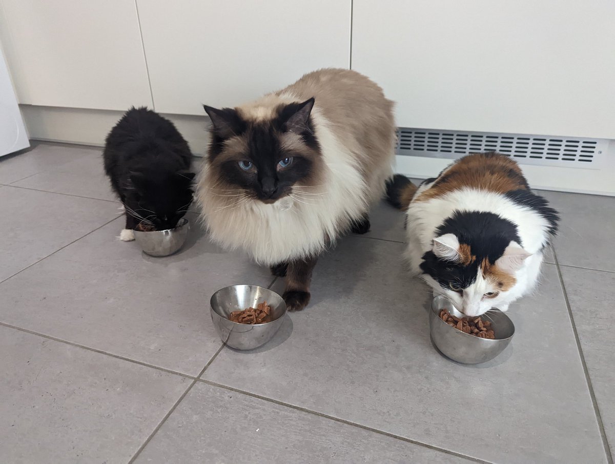 BlackPanthaa tweet media