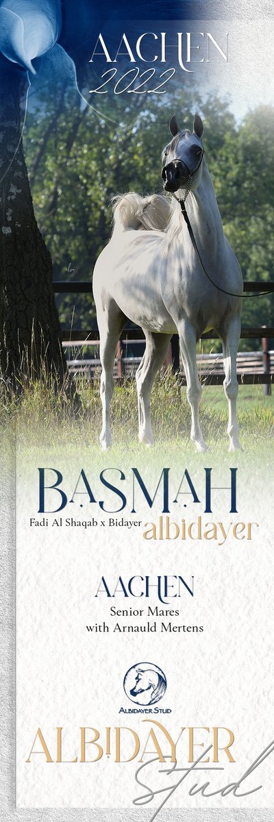 ArabianEssence's tweet photo. Basmah Albidayer - Senior Mares in Aachen
Click here to see High Resolution version:
https://t.co/w2wOPaS7qj
#albidayerstud #basmahalbidayer #aachen2022 https://t.co/QccQsJhBnE