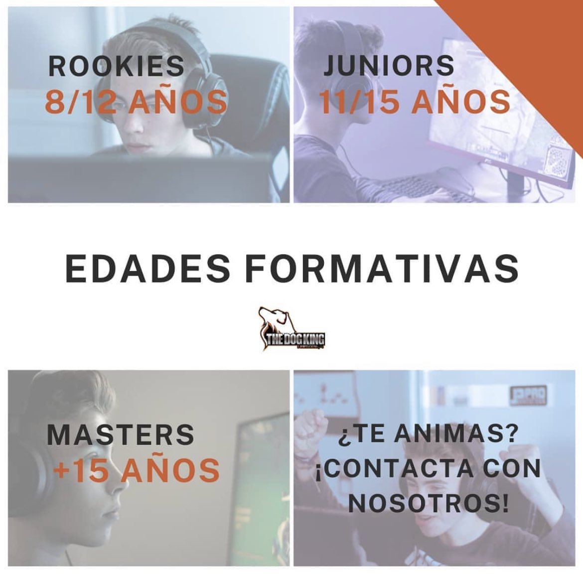 🎮 Con el retorno a la escuela, muchos también queréis volver a jugar a vuestros videojuegos favoritos.

🤔 ¿Sabes cómo clasificamos a los jugadores según su edad?

👉 ¡Te esperamos en la Academy!