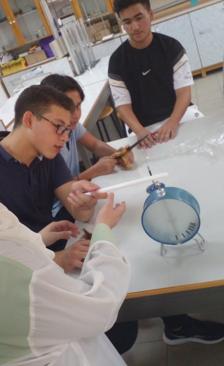 TahaniDandashli's tweet photo. Static electricity 
Grade 10 physics lab work 
 @MakassedSaida https://t.co/JCY18UeDdI