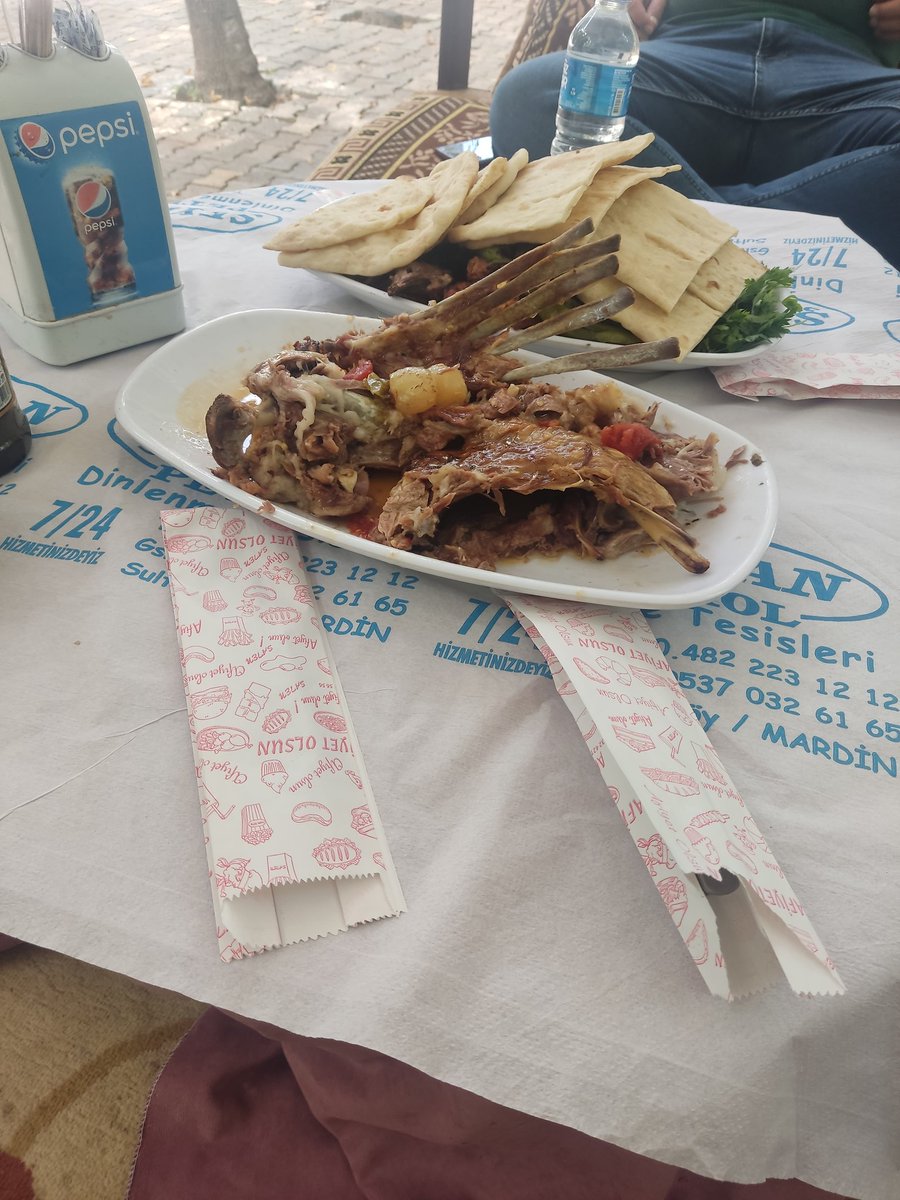 Part- Teyşt 😋