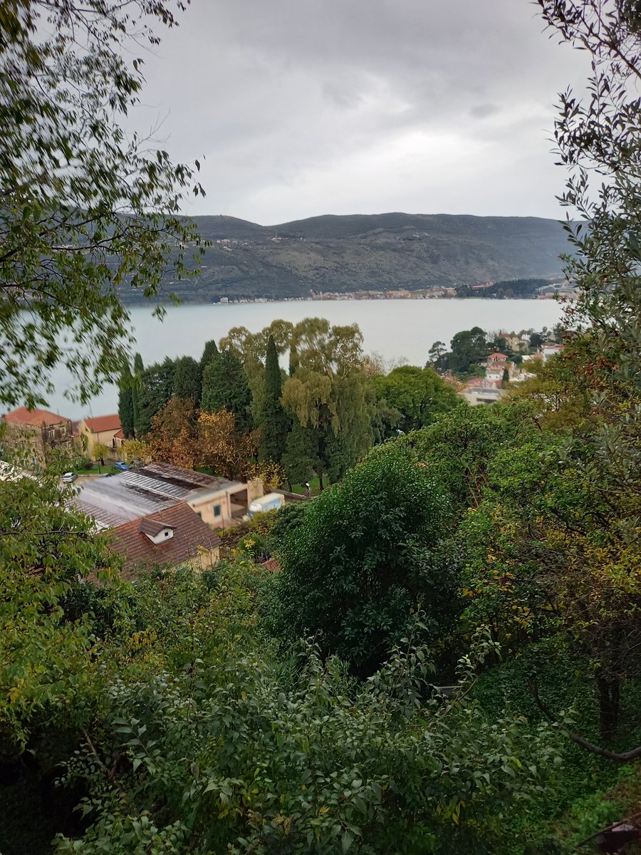 BosicN's tweet photo. Umorne oči ...
oči koje vide i ne vide ..... https://t.co/0WGpqt5fTM