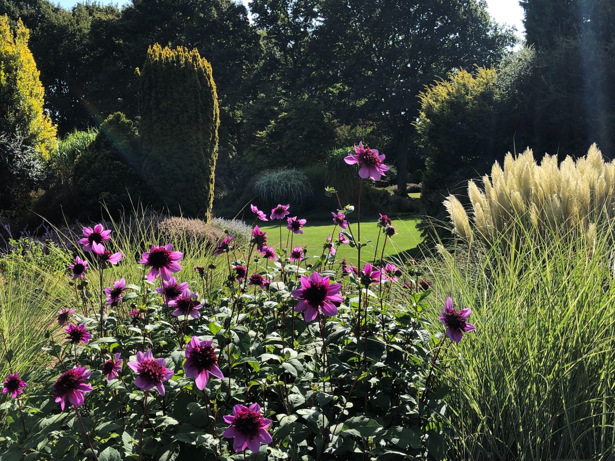 GreatCompGarden's tweet photo. September at Great Comp Garden is a wonderful time to visit.  Enjoy the beautiful colours, fresh air, peace and tranquility.  The garden, nursery and tearoom are open daily from 10am.
Images. © Vikki Rimmer https://t.co/bnsEjNaoBq