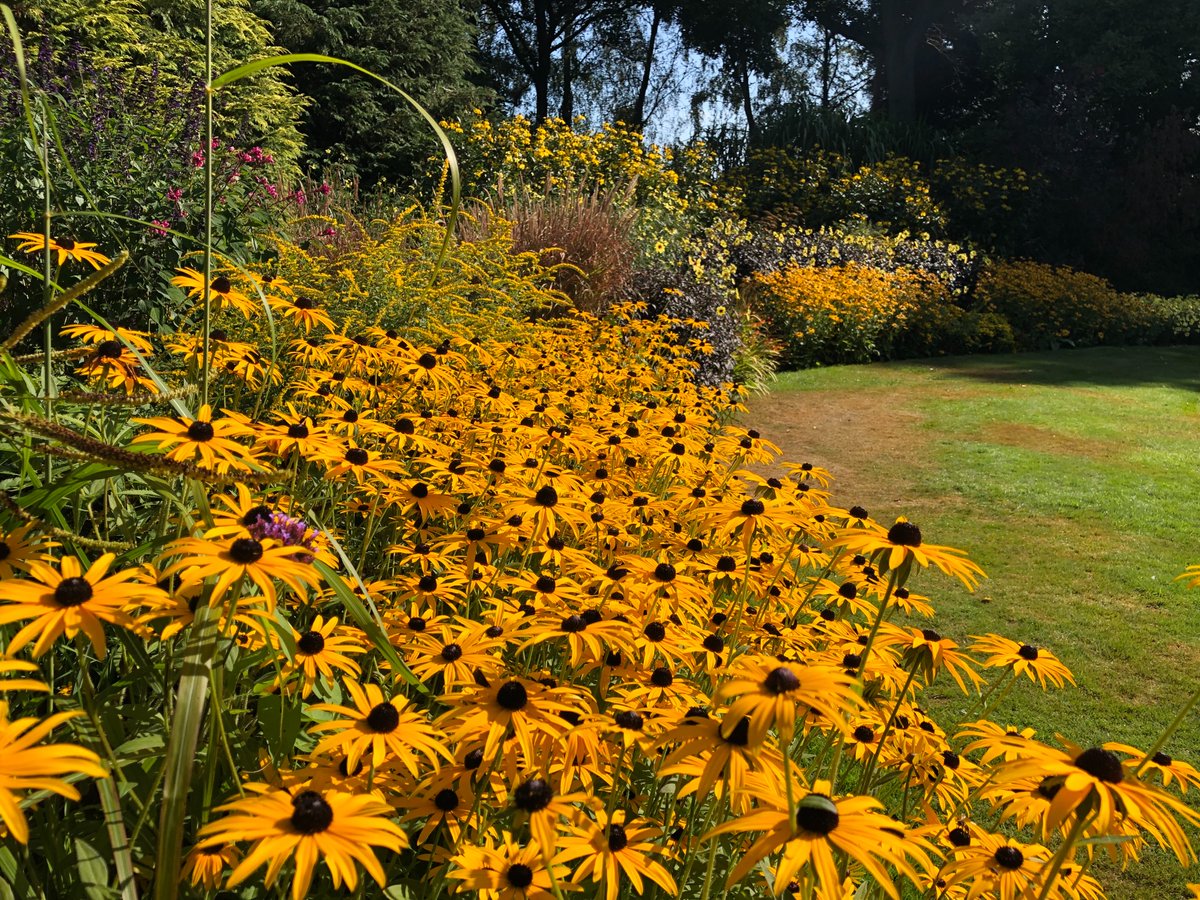 GreatCompGarden's tweet photo. September at Great Comp Garden is a wonderful time to visit.  Enjoy the beautiful colours, fresh air, peace and tranquility.  The garden, nursery and tearoom are open daily from 10am.
Images. © Vikki Rimmer https://t.co/bnsEjNaoBq
