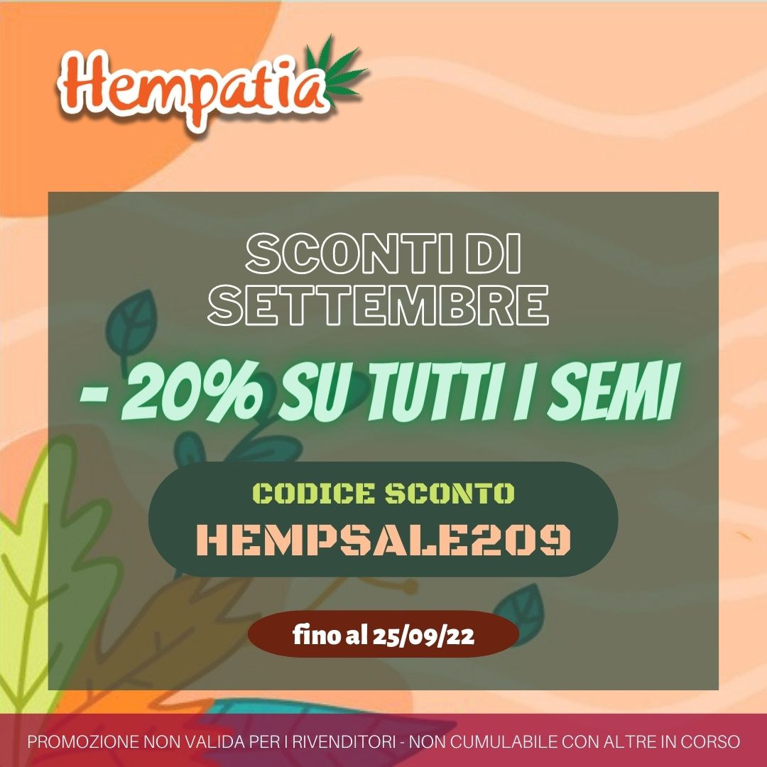 Dal 20 al 25 settembre puoi acquistare qualsiasi varietà di semi da collezione con uno sconto del 20%. *

Usa codice sconto: HEMPSALE209

Ti aspettiamo su hempatia.network

* promozione non valida per i rivenditori e non cumulabile con altre in corso