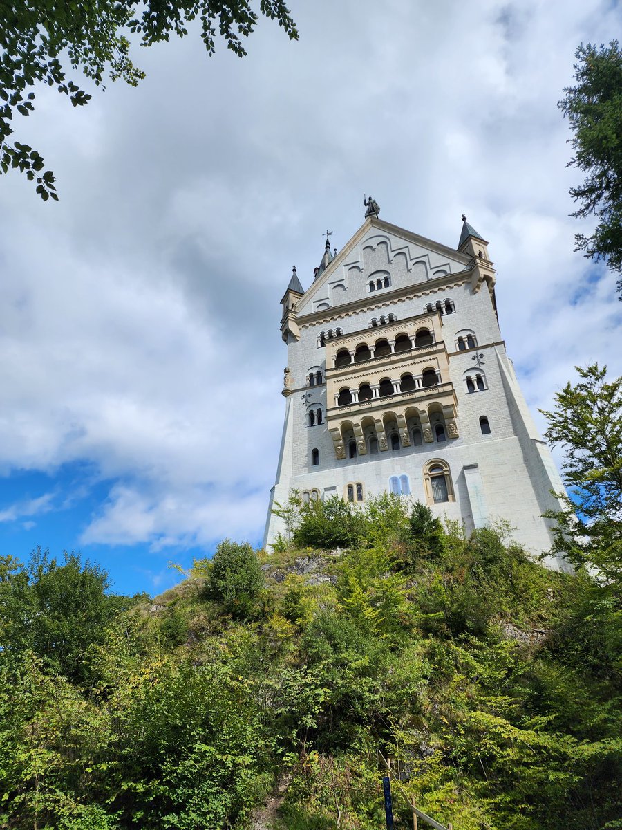 Gavin Jay tweet media