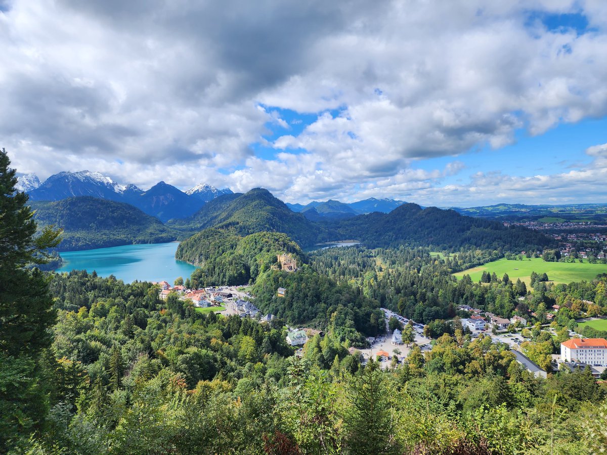 Gavin Jay tweet media