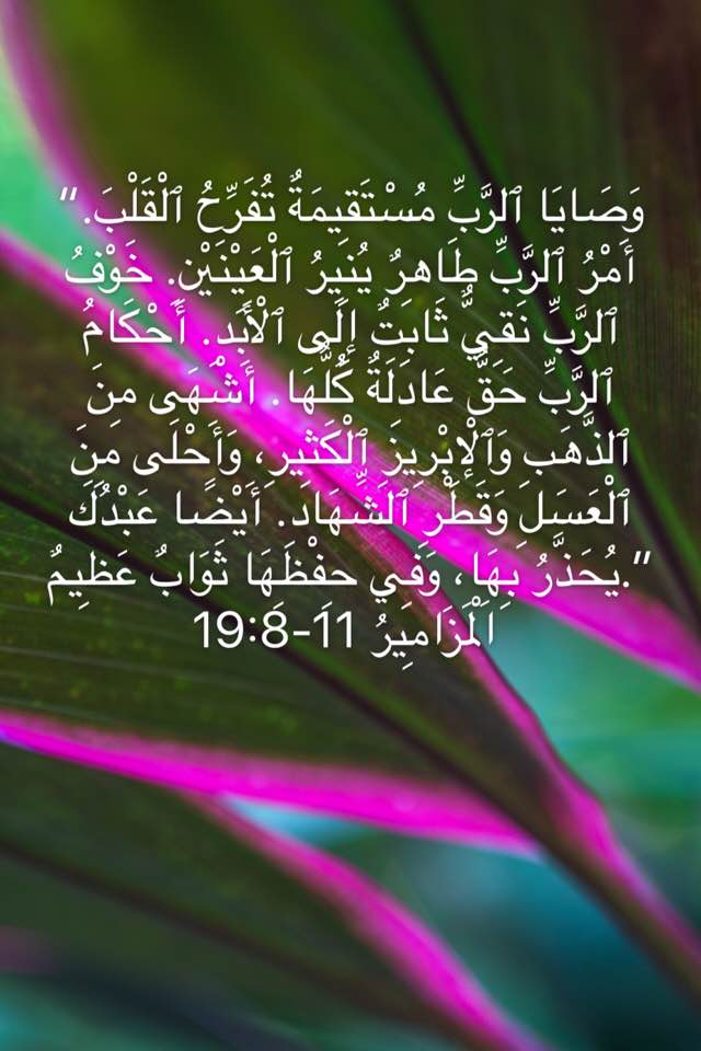 Zakaria_Estawro's tweet photo. وَصَايَا الرَّبِّ مُسْتَقِيمَةٌ تُفَرِّحُ الْقَلْبَ. أَمْرُ الرَّبِّ طَاهِرٌ يُنِيرُ الْعَيْنَيْنِ. 
(مز 19 : 8) https://t.co/IiCGApd9Om