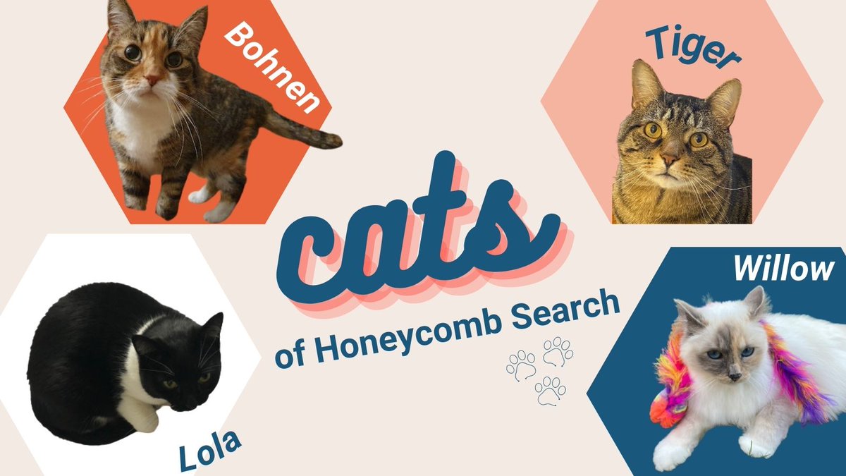 Did you know... 🤔

The Honeycomb Search team has more animals than humans! In particular, we have a lot of cats on the team - so meet our feline friends below! 👇😻