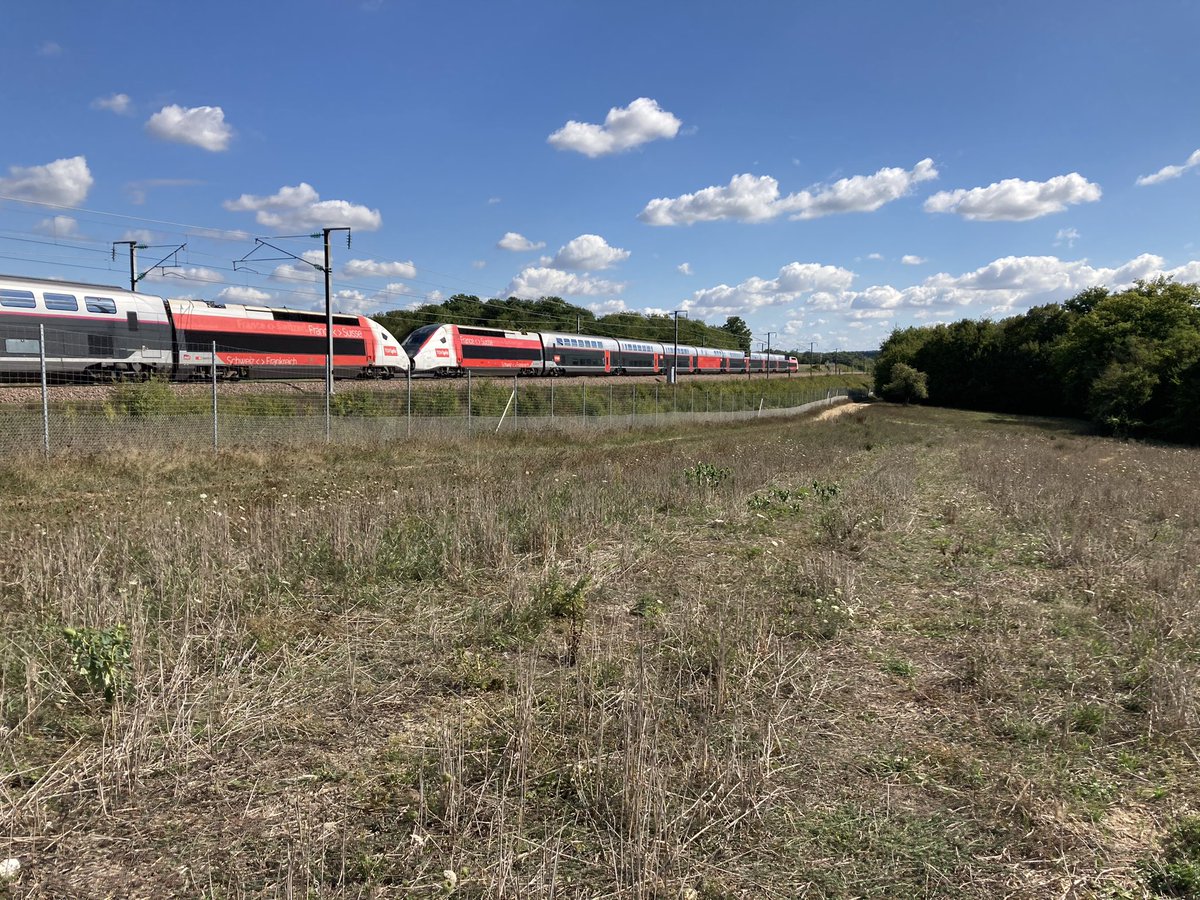 BONNIN1402's tweet photo. Tiens une UM de @TGV_Lyria au #pK97.2 (2ème élément tagué 😡)
Ce soir, le calme de cette forêt 🌳 sera rompu par le brame des cerfs. https://t.co/tBf9MKkGIt