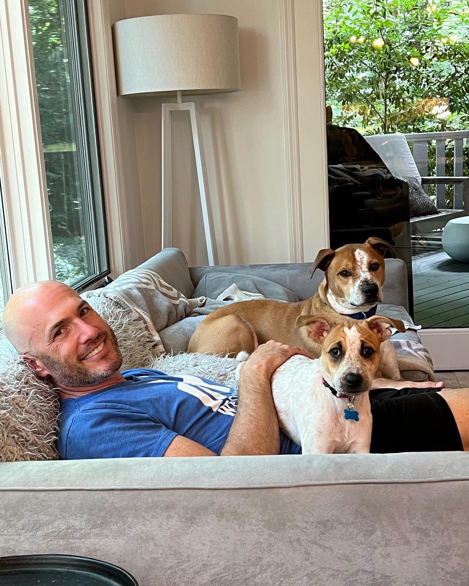 PUPDATE! 🐶🐶🐶
Our foster Stars is still looking for her furever home. She’s super sweet, smart, potty and crate trained. If you’re looking for a great dog, send me a message. Help spread the word. She will make some family very happy. 

#adoptdontshop #puppylove #doglovers