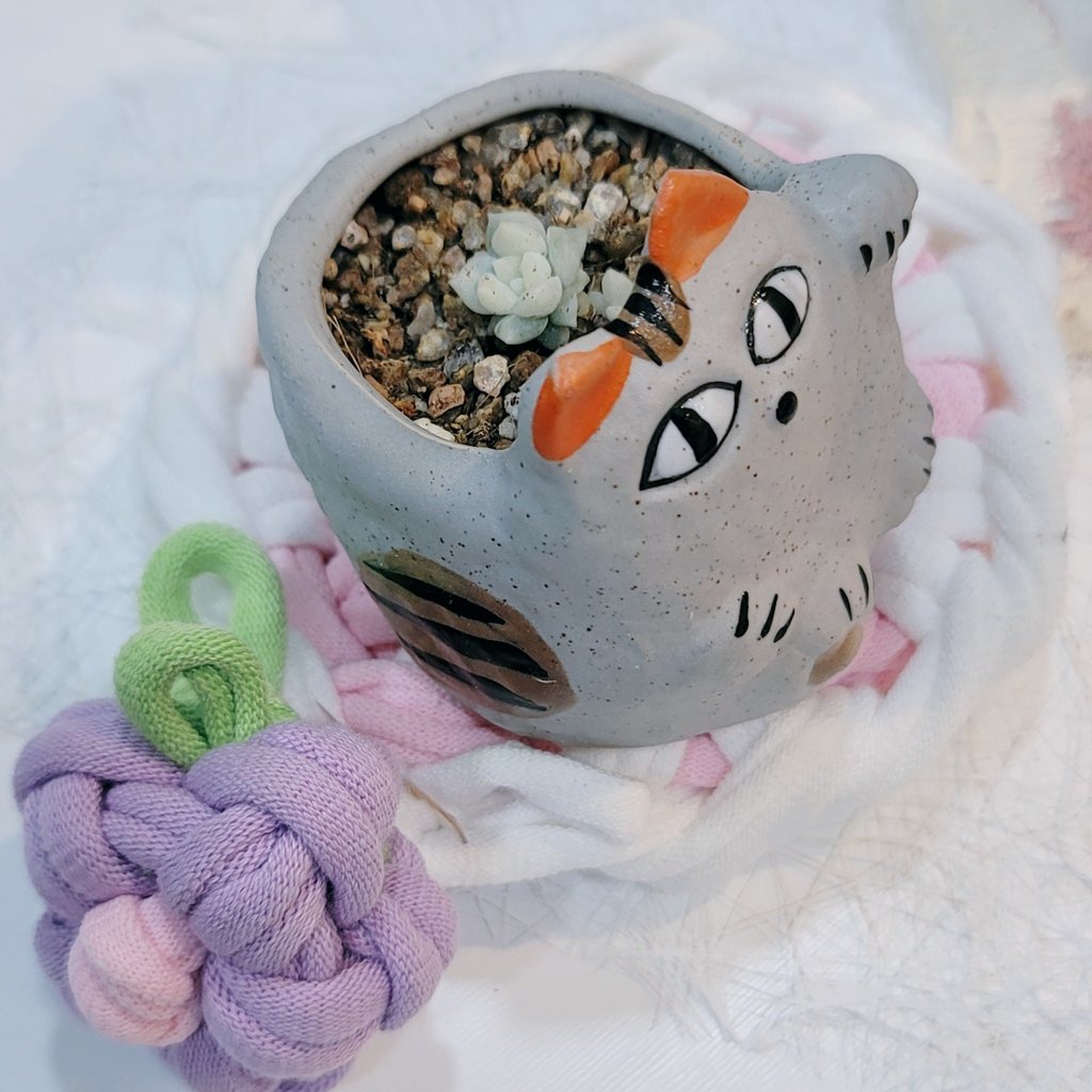 친구에게 선물 받은 아가다육이🥦