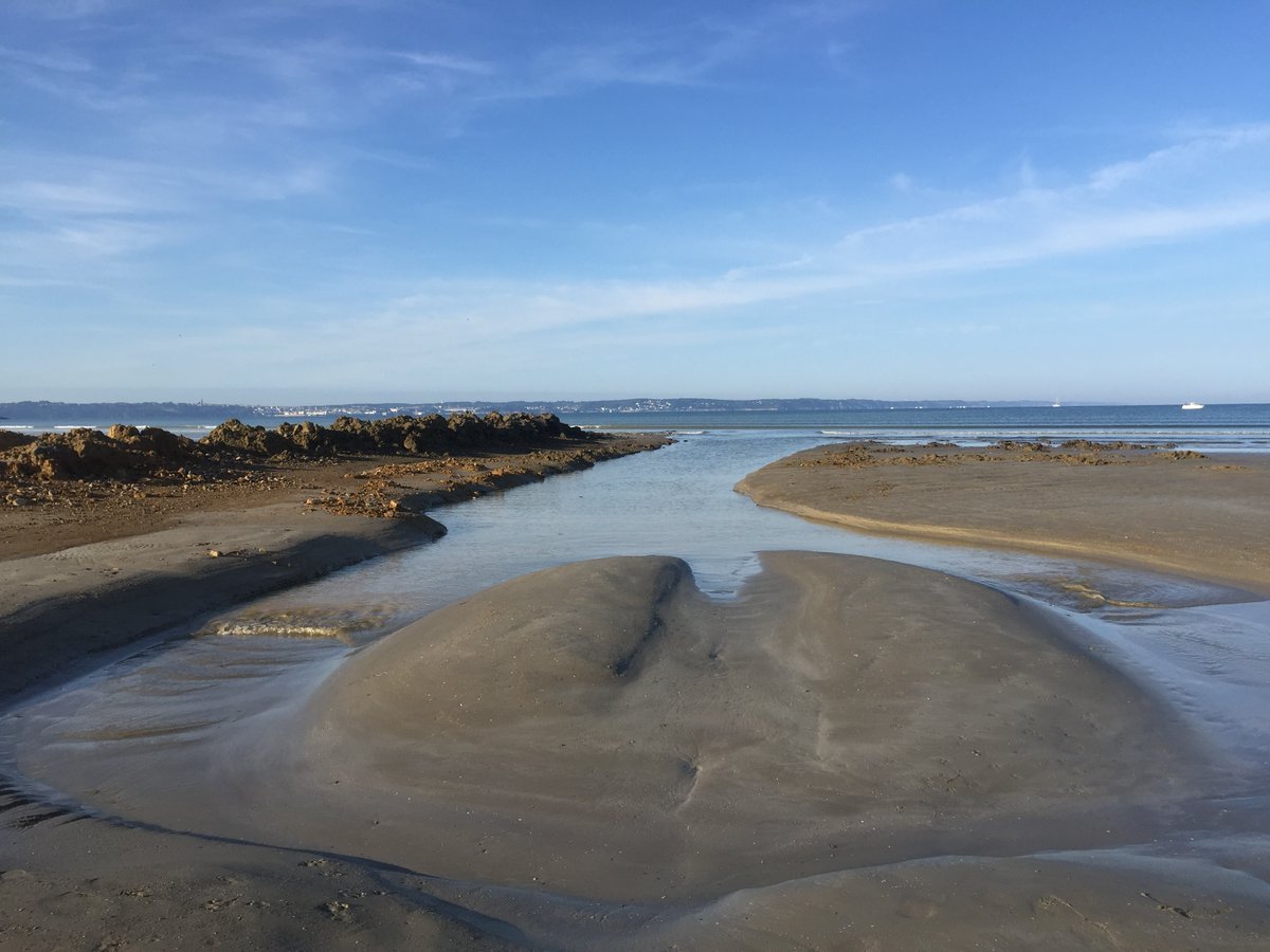PlonevezPorzay's tweet photo. The stranded 11-meter long whale returned to sea after a 14-hour rescue effort.
#bayofdouarnenez #brittany #savewhale #savethewales #whalerescue #whalestranding #ploeven #plonevezporzay https://t.co/SCOiL2sqYo