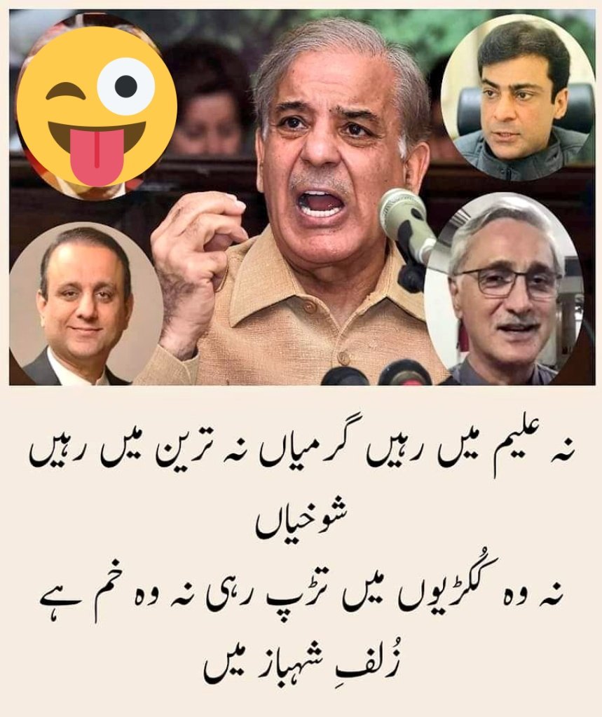 Abida M Gardezi (@gardezimabida) on Twitter photo 