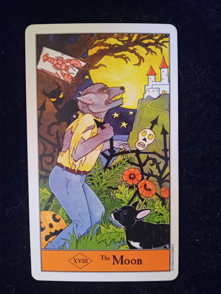 tigerlex333's tweet image. What is today&apos;s energy?
Time for changes. The season, your wardrobe and the energy. Put unwanted things to rest so new things can begin!
#timeforchanges