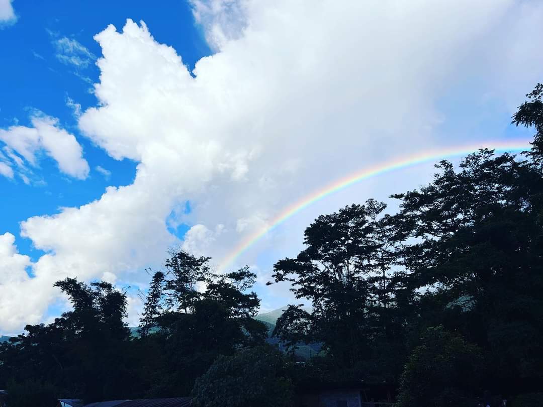 kamaneee's tweet photo. ถ้าคุณเดินถูกทาง…🚶‍♀️
คุณจะอยากเดินต่อไปเรื่อยๆ🏃‍♀️
และในที่สุด″ คุณจะก้าวหน้า​🎉
#แคปชั่นอ่อย #แคปชั่น #แคปชั่นนักเลง #แคปชั่นตลก #แคปชั่นเด็ด #แคปชั่นกวนๆ #แคปชั่นภาษาอังกฤษ #แคปชั่นความรัก #แคปชั่นความรัก #แคปชั่นเศร้า #แคปชั่นโควิด #แคปชั่นธรรมชาติ #แคปชั่นกวนตีน https://t.co/ptLfcaGuTl