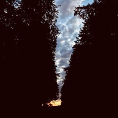 nextFPV's tweet photo. #NewProfilePic https://t.co/7LlB0th3dO