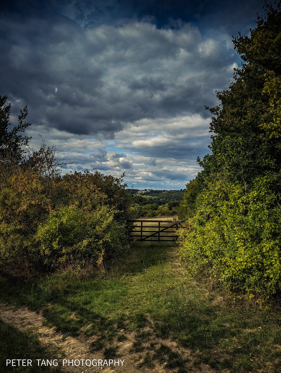 PeterTangPhoto's tweet photo. Been a while since I've had a walk down Capstone Country Park, so thought better head down for final walk of summer.
The next time I do will be Autumn, can't wait
#picoftheday #compositionkillerz #landscapes_of_britain #bestukpics #naturalbeauty #kent_shooters #chatham #canonuk https://t.co/KHZwE8QkIa