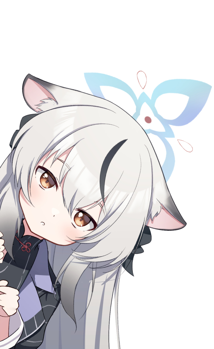 1girl solo animal ears looking at viewer white background grey hair simple background  illustration images