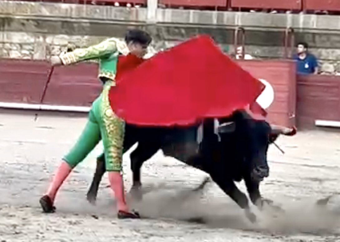 eldanitorero's tweet photo. Gracias Portugal 🇵🇹 (Idanha-a-Nova) una experiencia única corrida de toros Benéfica para la pequeña Princesa Beatriz, muy agradecido por el exquisito trato .  Muito obrigado Portugal, 
#corridadetorosportugal
#corridadetorosbenefiva
#fuerzabia
#portugaltaurina
#EnMiHambreMandoYo https://t.co/yqIAyXi8zF