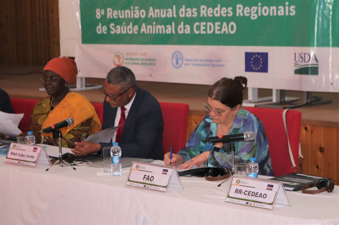 FAOCaboVerde's tweet photo. 🐄 8th Annual Meeting ECOWAS Regional Animal Health Networks
🇨🇻 19-23/9
Regional Animal Health Centre #RAHC, FAO, AU-BIRA & partners
To evaluate the implementation of the recommendations of the previous meeting, the results, the difficulties, find solutions & plan activities. https://t.co/qNOB7XMEg8
