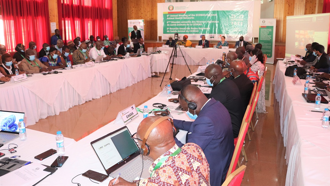 FAOCaboVerde's tweet photo. 🐄 8th Annual Meeting ECOWAS Regional Animal Health Networks
🇨🇻 19-23/9
Regional Animal Health Centre #RAHC, FAO, AU-BIRA & partners
To evaluate the implementation of the recommendations of the previous meeting, the results, the difficulties, find solutions & plan activities. https://t.co/qNOB7XMEg8
