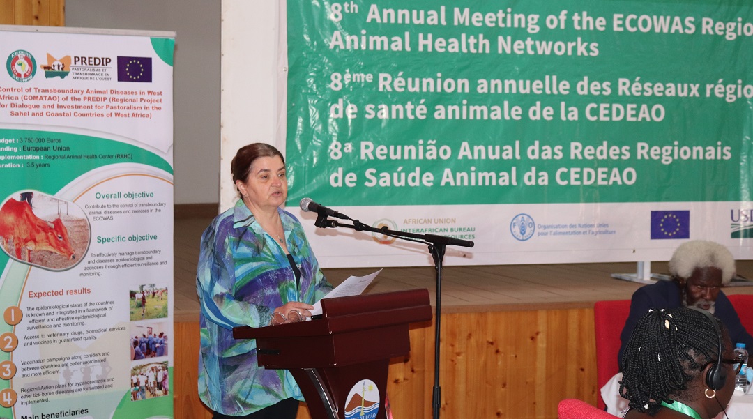 FAOCaboVerde's tweet photo. 🐄 8th Annual Meeting ECOWAS Regional Animal Health Networks
🇨🇻 19-23/9
Regional Animal Health Centre #RAHC, FAO, AU-BIRA & partners
To evaluate the implementation of the recommendations of the previous meeting, the results, the difficulties, find solutions & plan activities. https://t.co/qNOB7XMEg8