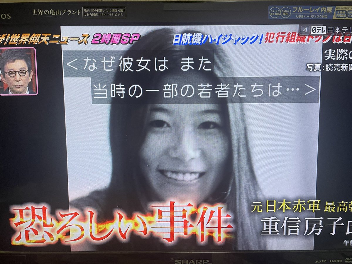 重信 房子 美人