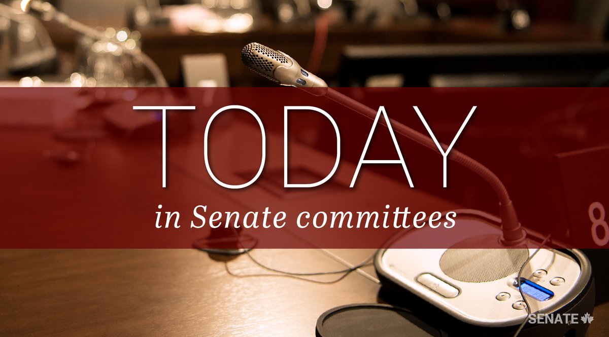 SenateCA's tweet photo. Committee topics: #TRCM #C11 #BroadcastingAct
Full schedule: https://t.co/G5td1X8S4n
#SenCA #cdnpoli https://t.co/DBN4MtlEWv