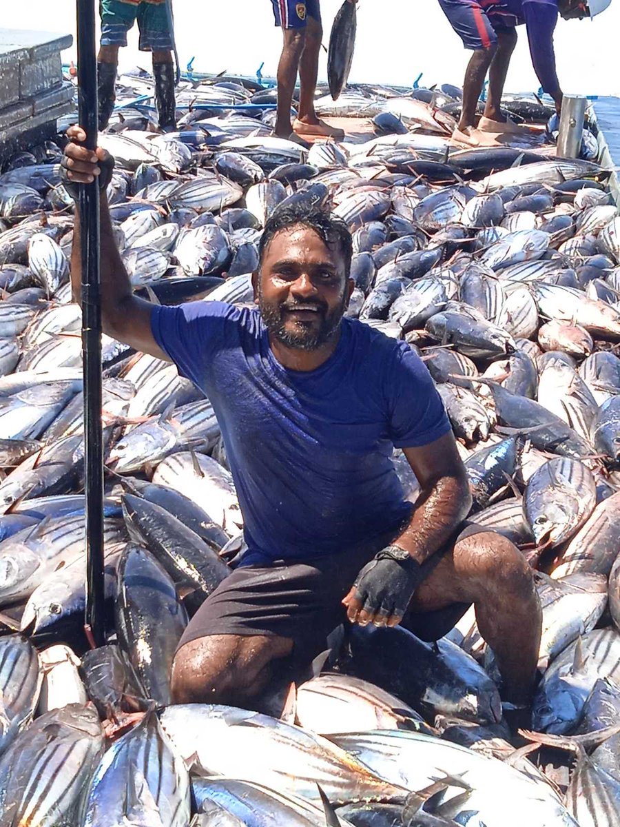 AhmedSiddeeq's tweet photo. "މި ވަރުގެ ހަޔާތްކުޑަ، ގޮތްކުޑަ ސަރުކާރެއް ދުވަހަކުވެސް އަހަރެންނުދެކެން. މި ސަރުކާރުން ވެރިކަމަށް އައުމަށް ދޮގުހަދައި އަހަރުމެނަށް އޮޅުވާލި. އިއްޔެ އެކަނިވެސް އަހަރެންގެ ދޯނި ދެޓަނުމަސް ކަނޑަށް އުކާލި، ނުކިރިގެން." އެމްޑީޕީގެ އޮޑިވެރިއެއް.
މިއީ އުކާލި މަސްތައް👇 https://t.co/fGvIRuJ2nf