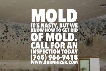 Some of the humidity of the Fall can create some moisture spots in your home that under the right conditions can lead to mold. Have it inspected by the professionals at Barnhizer &amp; Associates. Call 765-966-9418 or go to barnhzer.com to learn more. #mold