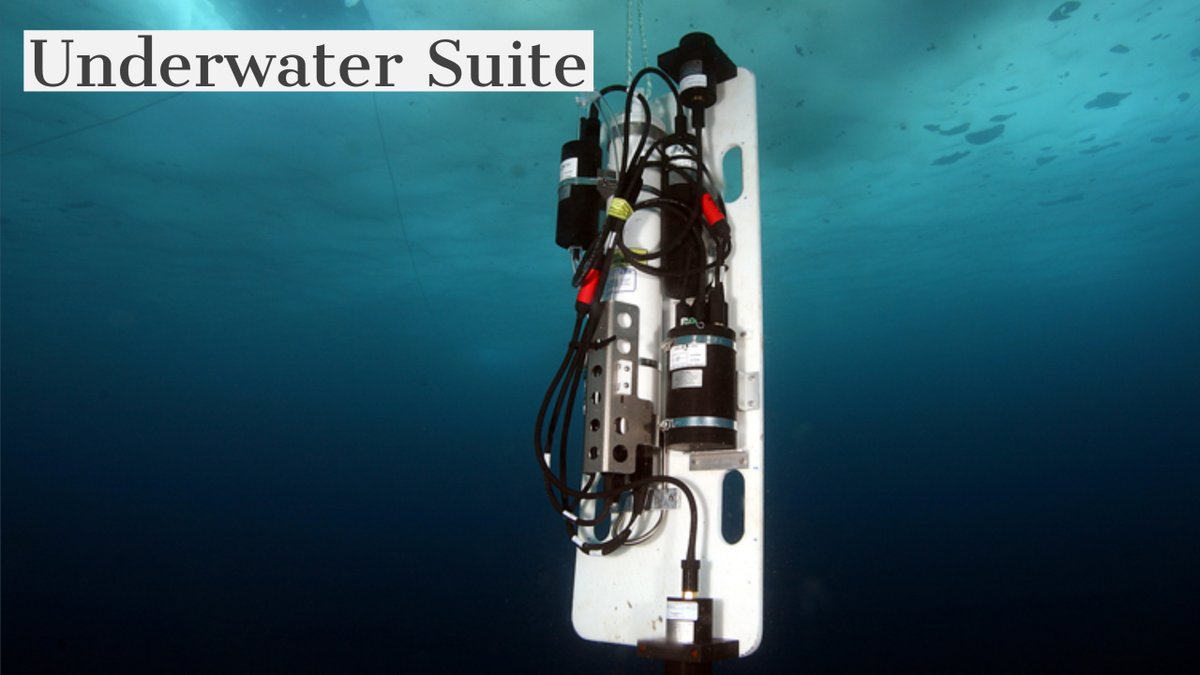 NERC FSF tweet media